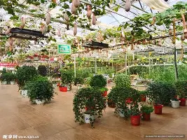 华体会官网入口-清晨纽卡斯尔备战全明星赛英超版图或变，曼联冲刺阶段复出首秀瞬间刷屏的简单介绍